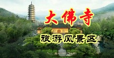 把你的骚逼操烂中国浙江-新昌大佛寺旅游风景区